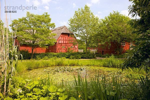 Alter roter Bauernhof am Dorfteich  Den Fynske Landsby Freilichtmuseum  Odense  Dänemark  Europa