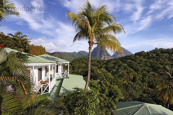 Bungalows  Palmen  Aussicht  Pitons-Berge  Regenwald  Luxushotel Anse Chastanet Resort  LCA  Saint Lucia  Insel St. Lucia  Inseln über dem Winde  Kleine Antillen  Karibik  Karibisches Meer