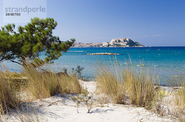 Sandstrand mit Blick auf Zitadelle von Calvi  Balagne  Insel Korsika  Frankreich  Europa