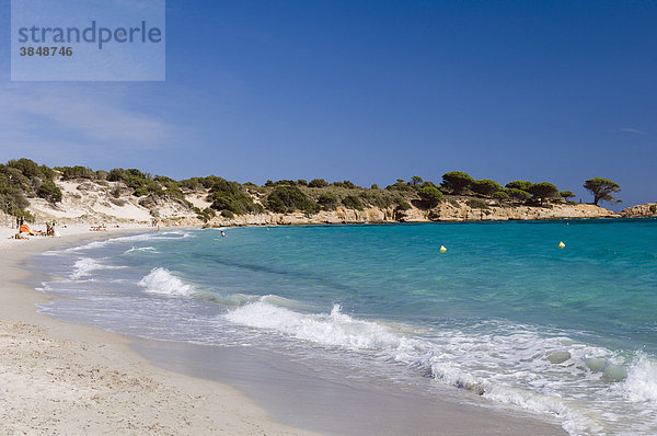 Sandstrand  Bucht von Palombaggia  Ostküste  Insel Korsika  Frankreich  Europa