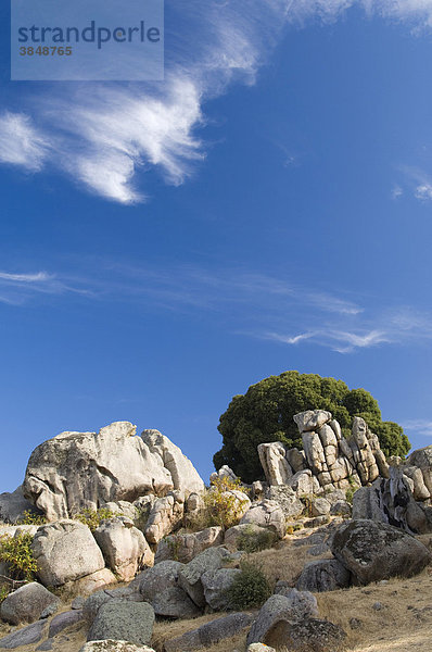 Archäologische Fundstätte der Jungsteinzeit  Filitosa  Insel Korsika  Frankreich  Europa