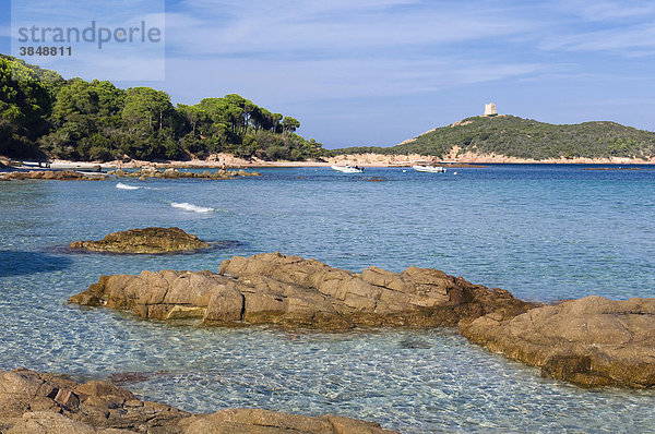 Strand  Golf von Pinarellu  Ostküste  Insel Korsika  Frankreich  Europa