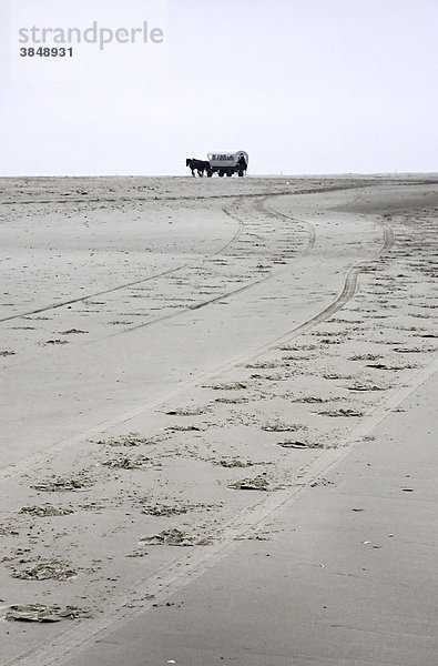 Pferdekutsche am Küsten-Strand  Insel Juist  Niedersachsen  Nord-Deutschland  Europa