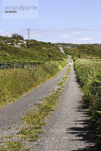 Straße in der irischen Landschaft  Connemara  Irland  Europa
