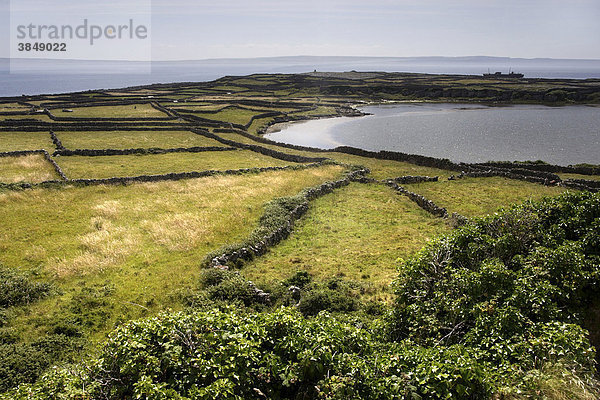 Fels und Steinmauern  Ackerland Landschaft mit dem Plassy Schiffswrack in der Ferne  Insel Inisheer  Republik Irland  Europa