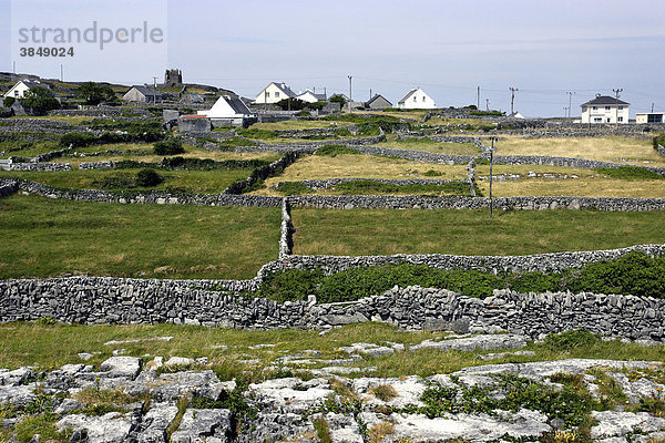 Landschaft mit felsigen Steinmauern und Cottages  Insel Inisheer  Republik Irland  Europa