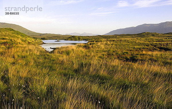 Seenlandschaft mit Maumturk-Bergen bei Sonnenaufgang  Connemara  Irland  Europa