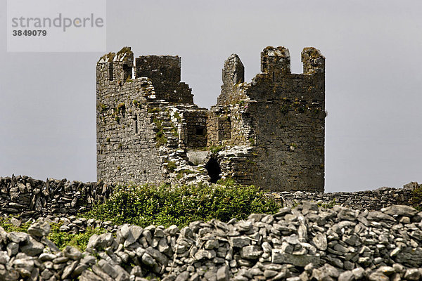 O'Brien's Burgruine aus dem 15. Jahrhundert  Inishere Island  Republik Irland  Europa