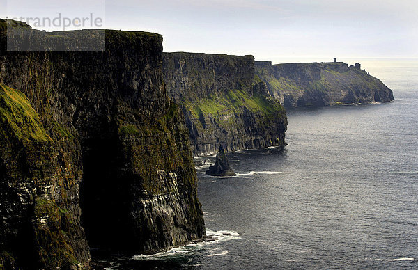 Cliffs of Moher  Klippen von Moher  Republik Irland  Europa