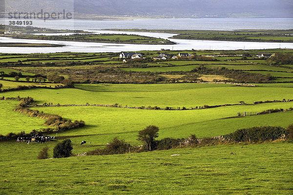 Ackerland und Küstenlandschaft  County Clare  Republik Irland  Europa
