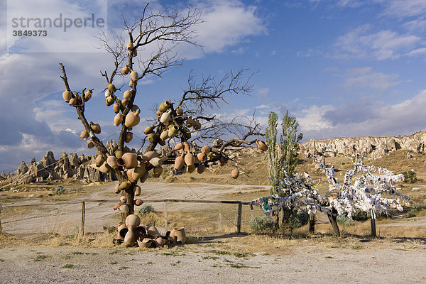 Baum mit Tontöpfern in Göreme  Kappadokien  Zentralanatolien  Türkei  Asien