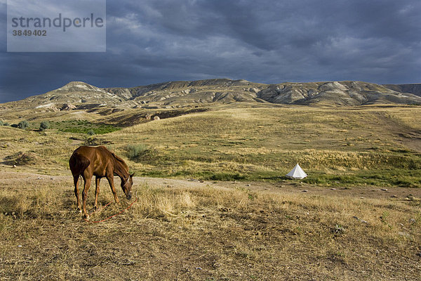 Pferd bei Gewitterstimmung in Tuffsteinlandschaft  Kappadokien  Zentralanatolien  Türkei  Asien
