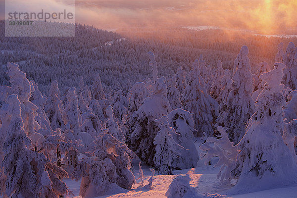 Brocken im Winter bei Sonnenuntergang  Harz  Sachsen-Anhalt  Deutschland  Europa