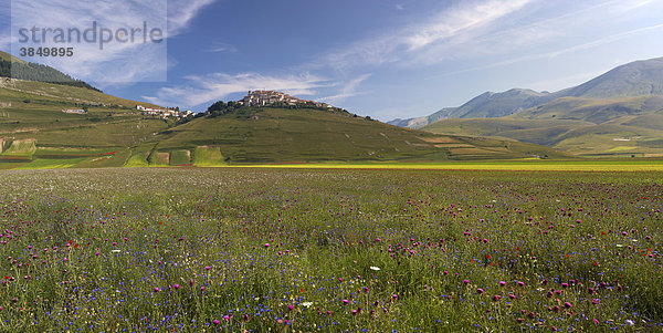 Castelluccio in den Sibillinischen Bergen zur Wildblumensaison  Piano Grande Plateau  Umbrien  Italien  Europa