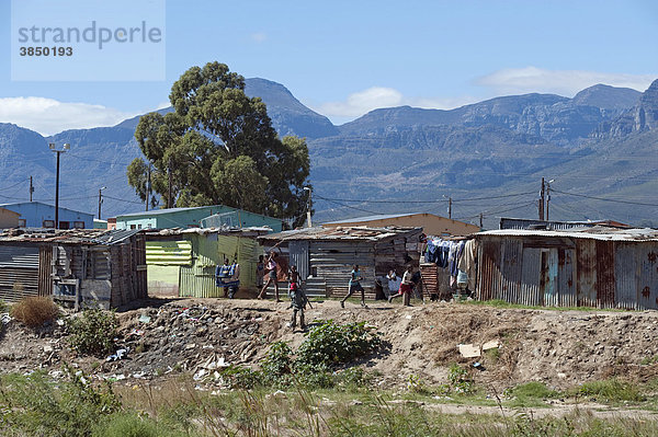 Behelfsmäßige Hütten in einem Township außerhalb von Wellington  Westliche Kapregion  Südafrika  Afrika