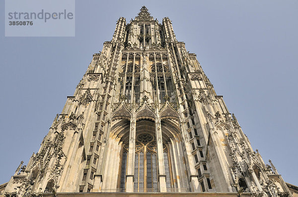 Ulmer Münster  der 161  53m hohe Turm ist der höchste Kirchturm der Welt  Ulm  Baden-Württemberg  Deutschland  Europa