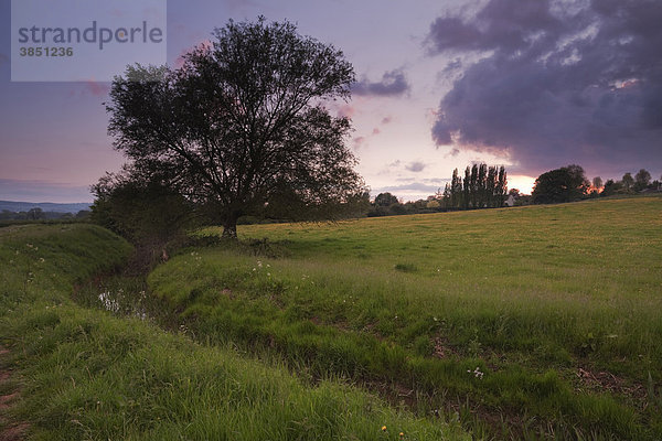 Abend am Durleigh Brook am Rande von The Meads bei Bridgwater  Somerset  England  Großbritannien  Europa