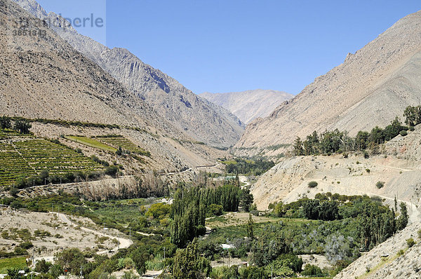 Landschaft  Weinanbaugebiet  Landwirtschaft  fruchtbares Tal  Wüstenberge  Monte Grande  Dorf  Vicuna  Valle d`Elqui  Elqui Tal  La Serena  Norte Chico  Nordchile  Chile  Südamerika