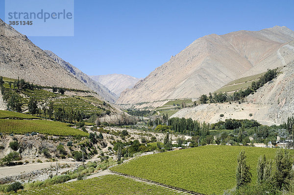 Landschaft  Weinanbaugebiet  Landwirtschaft  fruchtbares Tal  Wüstenberge  Monte Grande  Dorf  Vicuna  Valle d`Elqui  Elqui Tal  La Serena  Norte Chico  Nordchile  Chile  Südamerika