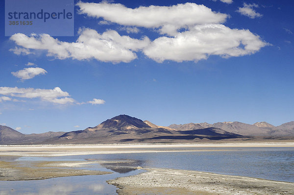 Salar de Surire  Salzsee  Reserva Nacional de las Vicunas  Lauca Nationalpark  Altiplano  Norte Grande  Nordchile  Chile  Südamerika