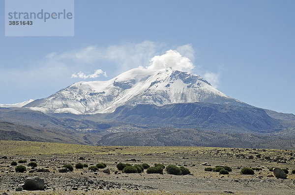Guallatiri Vulkan  Reserva Nacional de las Vicunas  Lauca Nationalpark  Altiplano  Norte Grande  Nordchile  Chile  Südamerika