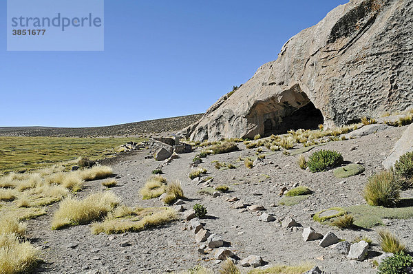 Rundweg  Vegetation  Berglandschaft  Las Cuevas  Höhlen  Conaf Station  Lauca Nationalpark  Altiplano  Norte Grande  Nordchile  Chile  Südamerika