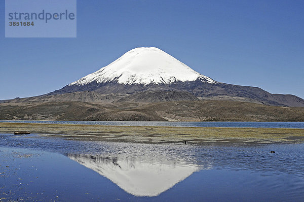 Parinacota  Vulkan  Spiegelung  Lago Chungara  See  Lauca Nationalpark  Altiplano  Norte Grande  Nordchile  Chile  Südamerika