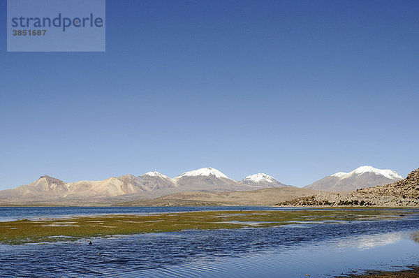 Lago Chungara  See  Lauca Nationalpark  Altiplano  Norte Grande  Nordchile  Chile  Südamerika