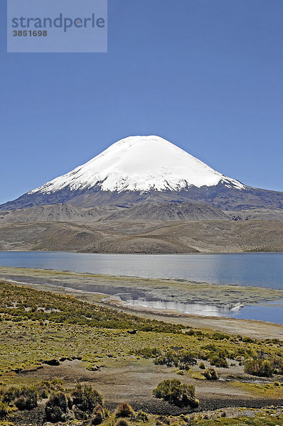 Parinacota  Vulkan  Lago Chungara  See  Lauca Nationalpark  Altiplano  Norte Grande  Nordchile  Chile  Südamerika