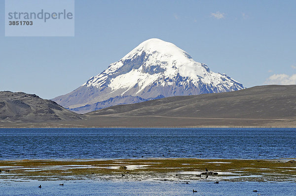 Blick auf den Cerro de Quisiquisini  Bolivien  Vulkan  Lago Chungara  See  Lauca Nationalpark  Altiplano  Norte Grande  Nordchile  Chile  Südamerika