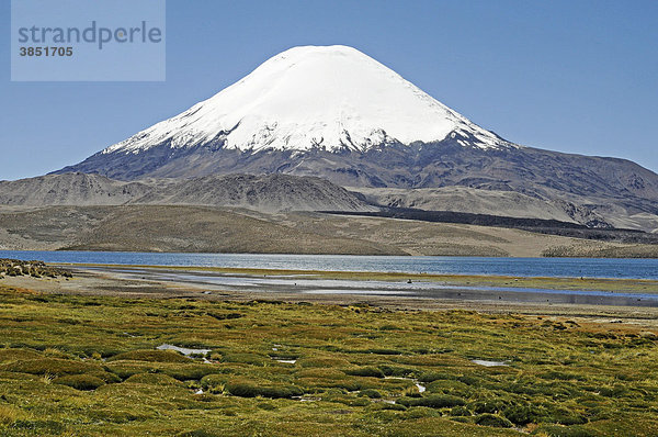 Parinacota  Vulkan  Lago Chungara  See  Lauca Nationalpark  Altiplano  Norte Grande  Nordchile  Chile  Südamerika