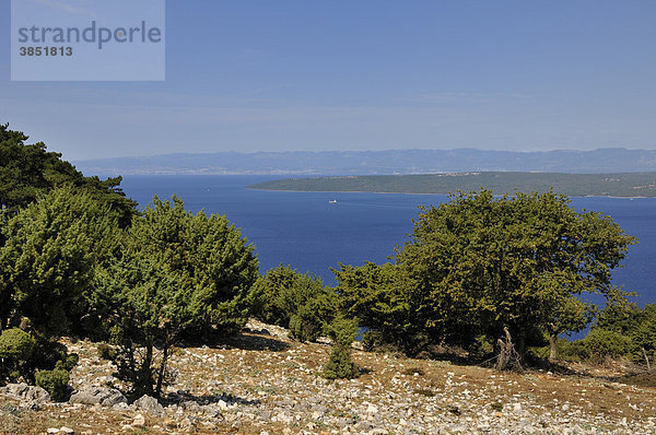 Blick auf die Insel Krk von der Insel Cres  Kroatien  Europa