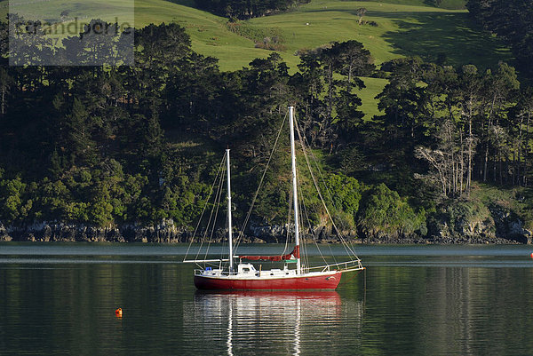 Boot im Hafen von Akaroa  Banks Peninsula  Region Canterbury  Südinsel  Neuseeland