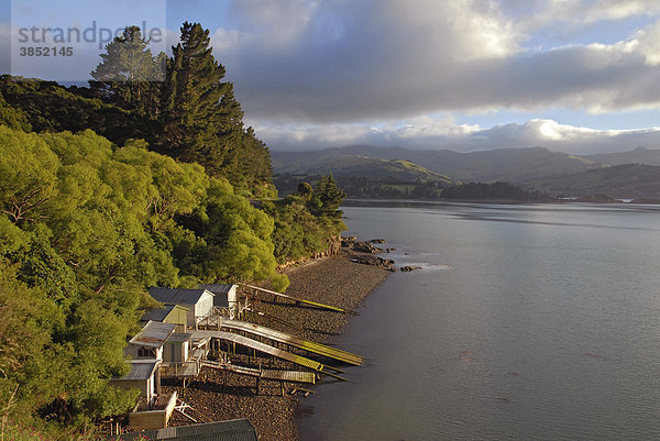Bootshäuser im Hafen von Akaroa  Banks Peninsula  Region Canterbury  Südinsel  Neuseeland
