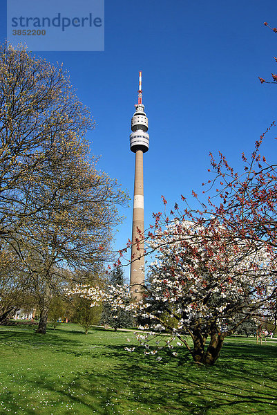 Fernsehturm  Florian  Florianturm  Frühlingsblüte  Westfalenpark  Dortmund  Ruhrgebiet  Nordrhein-Westfalen  Deutschland  Europa