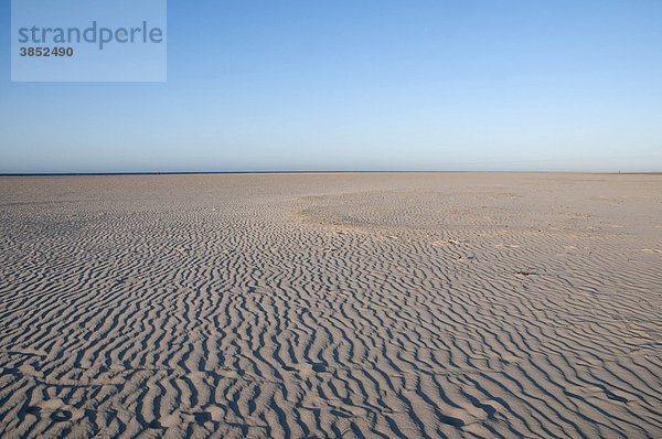 Leerer Sandstrand  Strukturen im Sand  Insel Spiekeroog  Nordsee  Niedersachsen  Deutschland  Europa