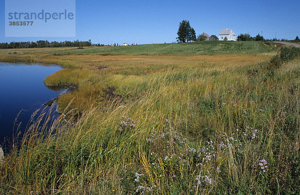 Feuchtgebiet  Prince Edward Island  Kanada