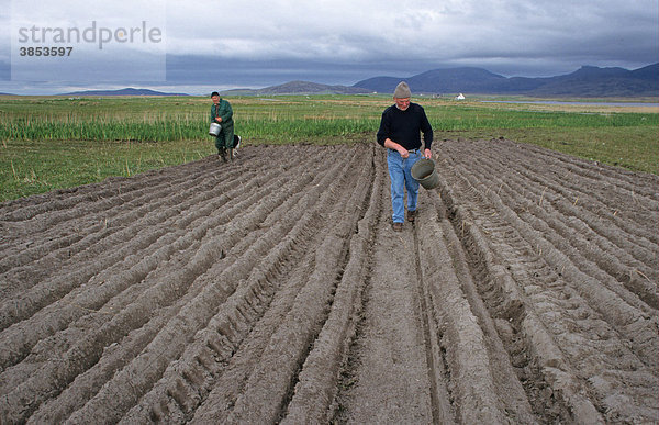 Kleinbauern säen Gerste mit der Hand  gepflügte Streifen fruchtbaren Ackerlandes  Machair  South Uist  Äußere Hebriden  Schottland  Großbritannien  Europa