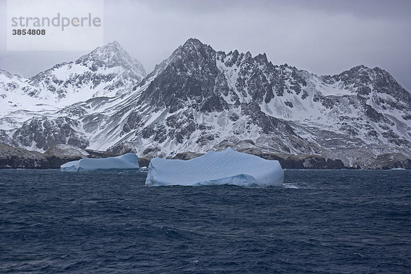 Blauer Eisberg im Meer  Küstenlinie mit Bergen  Südatlantik  Südgeorgien