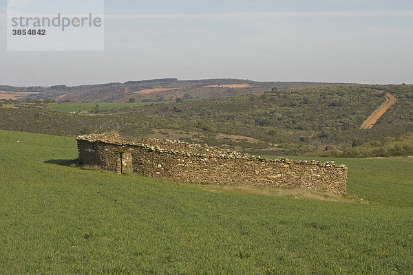 Steinmauer-Einzäunung für Schafe  um Schafsherde vor Wolf-Überfällen zu schützen  Spanien  Europa