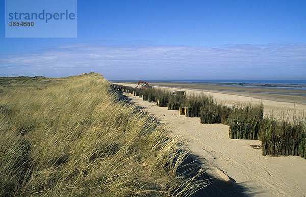 Küstenschutz aus kleinen Zweigen gemacht  Norfolk  England  Großbritannien  Europa