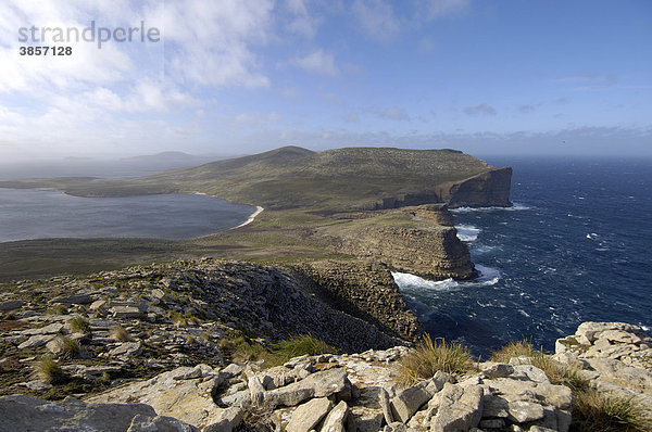 Blick auf Bucht und Küste mit Klippen  Südseite  New Island  Falkland-Inseln