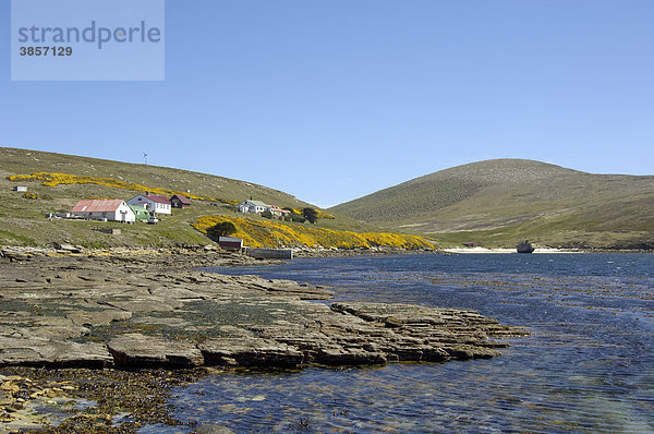 Blick auf Küste und Küstensiedlung  New Island  Falkland-Inseln