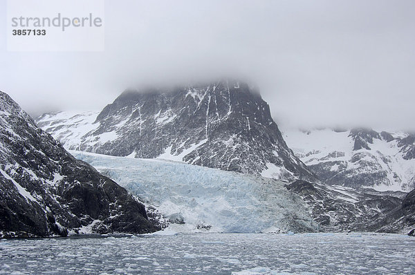 Bucht mit Tidewater Glacier  Jenkins Glacier  Gletscher  Drygalski Fjord  Südgeorgien