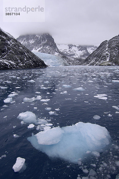 Bucht mit Eis von kalbendem Tidewater-Gletscher  Jenkins Glacier  Gletscher  Drygalski Fjord  Südgeorgien