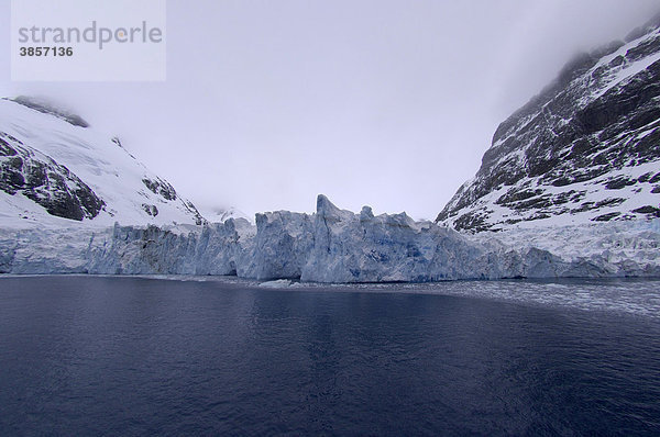Bucht mit kalbendem Tidewater-Gletscher  Risting Glacier Gletscher  Drygalski Fjord  Südgeorgien