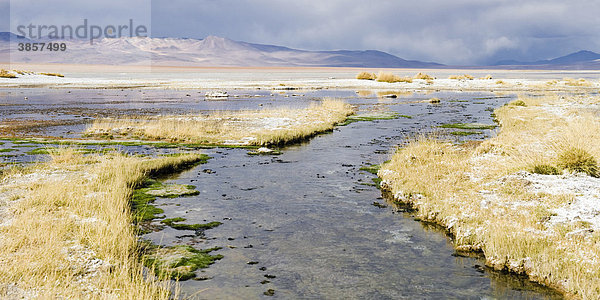 Laguna Salada  auch Laguna Polski  Altiplano Salzsee  Potosi  Bolivien  Südamerika