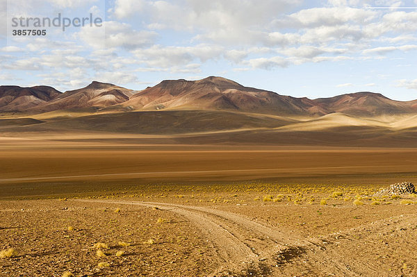 Bolivianische Altiplano Landschaft  Potosi  Bolivien  Südamerika
