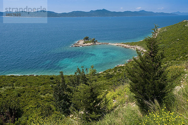 Türkisgrüne Mittelmeerbucht  Adriaküste mit Elaphiten  Kroatien  Europa