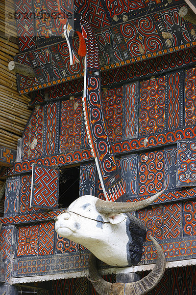 Hörner von Wasserbüffel  Schutz vor Geistern am Haus  Toraja Kultur  Sulawesi  Indonesien  Asien